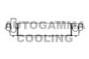 AUTOGAMMA 107073 Intercooler, charger